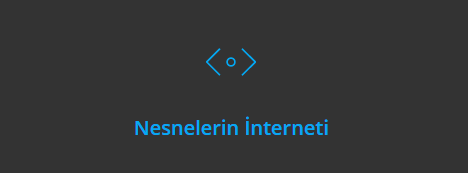 nesnelerin interneti