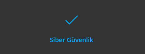 siber güvenlik