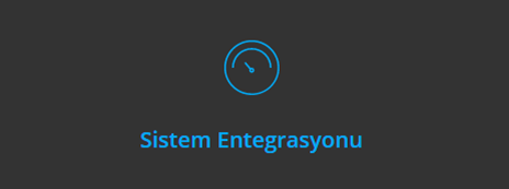sistem entegrasyonu